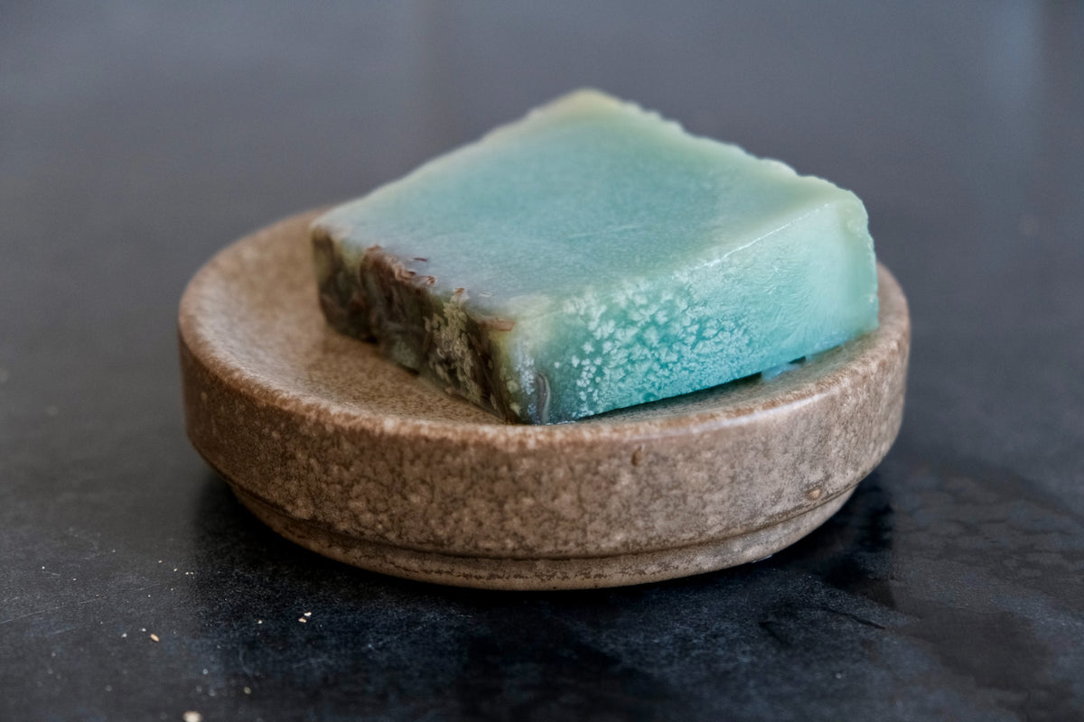 Bacteria Soap Bar