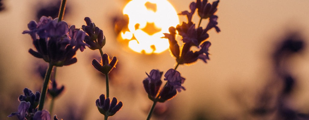 flower children