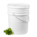 five gallon container of peppermint castile soap